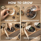 Bonsai Tree Kit Deluxe + Growing Light - Image 4