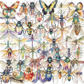50Pcs Clear PET Insect Aesthetic Stickers by Unknown