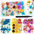 110 Pcs Dried Pressed Flowers for Resin, Real Dry Daisy Flowers and Leaves Bulk by Nuanchu