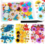 110 Pcs Dried Pressed Flowers for Resin, Real Dry Daisy Flowers and Leaves Bulk by Nuanchu
