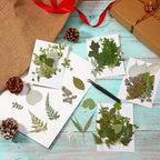 Timtin 84 Pieces Dried Pressed Leaves Flowers - Image 7