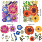 122PCS Large Nature Dried Pressed Flowers - Image 4