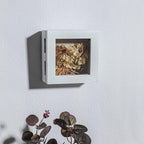Freezing point Shadow Box Frame 5x5 Shadow Boxes Display Case - Image 3