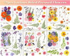 eBoot 72 Pcs Dried Pressed Flowers - Image 2