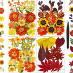 85Pcs Dried Flowers for Crafts, Natural Pressed Flowers for Crafts Real Dried by HLCYGJIN