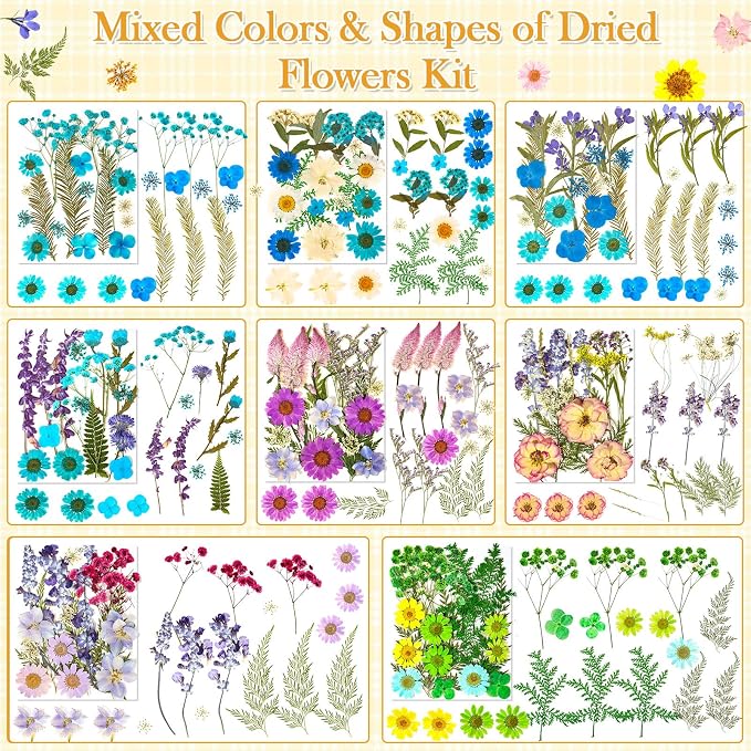 470 PCS Pressed Flowers for Crafts, Real Natural Dry Flowers - Image 5