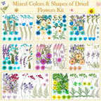 470 PCS Pressed Flowers for Crafts, Real Natural Dry Flowers - Image 5