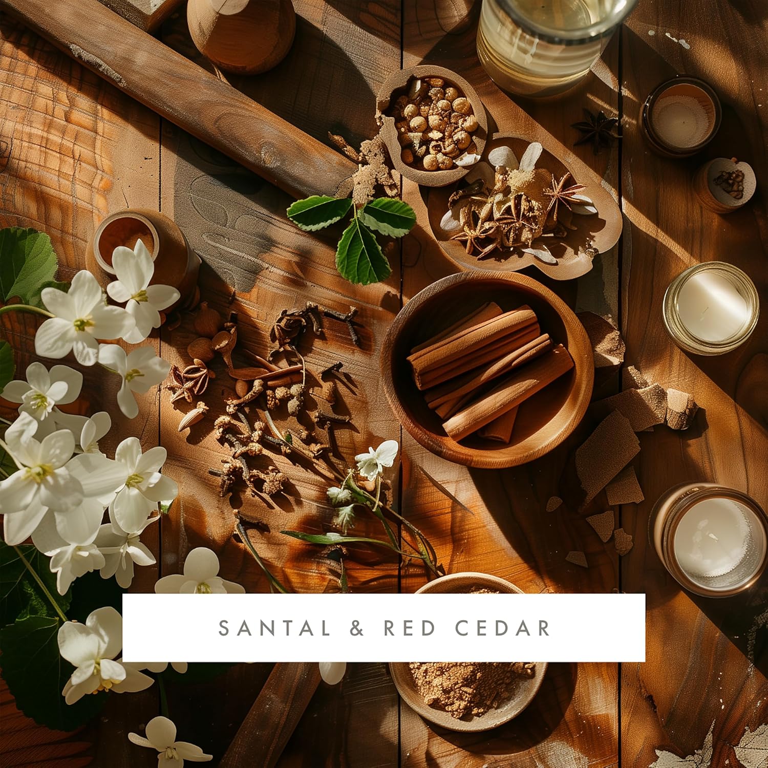 ScentAir Whisper Home Monthly Plug-in Refill, Fragrance Cartridge for Home and Office, Santal & Red Cedar