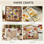 LUXEEASE 120P Yellow Orange Red Dried Pressed Flowers | Warm cozy gradient - Image 5