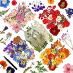 110Pcs Dried Flowers for Crafts, Pressed Flowers for Resin Molds, Dry Flowers by Wellcometowyegey