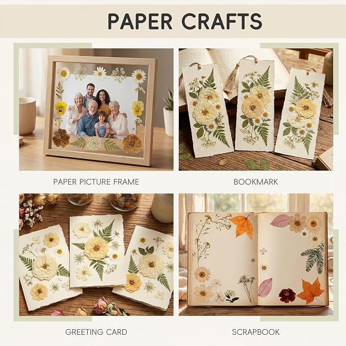 LUXEEASE 100P Vintage Cream Brown Dried Pressed Flowers | Earthy warm palette - Image 5