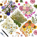 110Pcs Dried Flowers for Crafts, Real Pressed Flowers Dry Leaves Bulk Natural by Wellcometowyegey