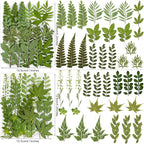 85PCS Real Green Dried Pressed Leaf Leaves, 28 Styles Greeny Mixed | 85PCS Real - Image 4