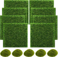 SNAIL GARDEN 13PCS Fairy Artificial Grass by SNAILGARDEN