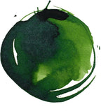 Liquitex Professional Acrylic Inks sap Green Permanent 315 30 ml - Image 2