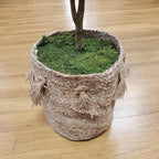 Mosser Lee ML0480 Natural Green Sheet Moss – 520 sq. in. – Organic Decorative - Image 8