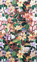 Bylimbo Window Film Wonderorchid by Unknown