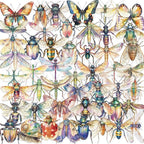 50PCS Transparent Watercolor Insect Stickers, Waterproof PET Decals, Colorful by Unknown
