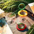 Skylety 4 Pcs Insert Bug Viewer Magnifier Backyard Explorer Bug Catcher Kit - Image 5
