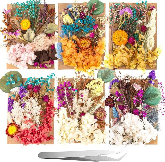 Nuanchu 200 Pcs Natural Dried Pressed Flowers and Leaves Resin Real Dried by Nuanchu