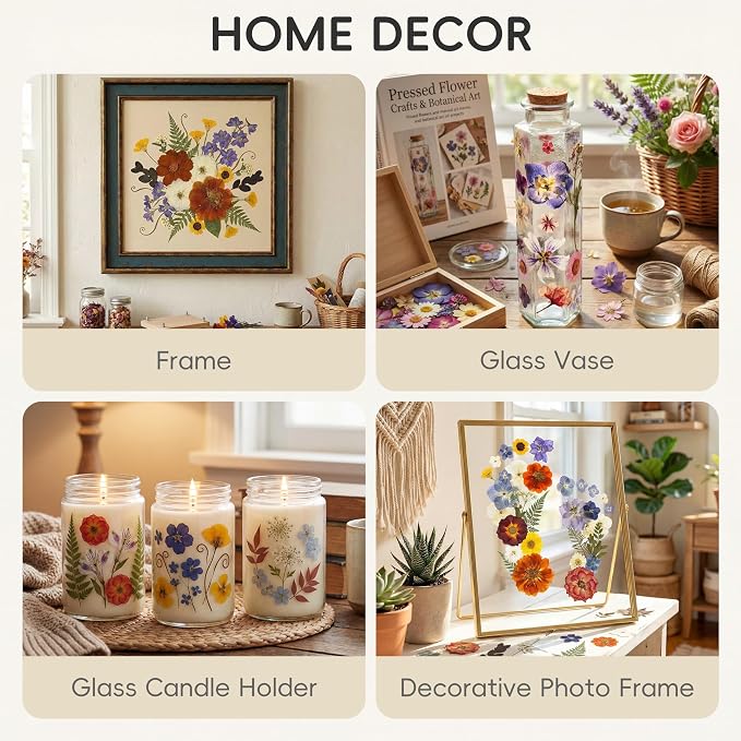 LUXEEASE 80P Vintage Pastel Dried Pressed Flowers | Soft retro pastels - Image 6