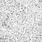 400 Pcs Silver Charms for Jewelry Making, Wholesale Bulk Lots Tiny Assorted by selizo