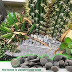45LB River Rocks, Mexican Beach Pebbles - Image 2