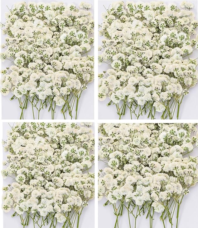 Dried Baby' s Breath Flowers Bulk by Glicrili