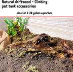 Hamiledyi 5PCS Driftwood for Aquarium Decor 3.5-7in Spider Wood Betta Fish Tank - Image 4