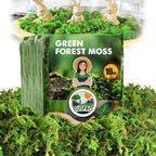 DUSPRO Green Forest Moss for Crafts, Real Dried Decorative Moss, 10 oz | Indoor by DUSPRO