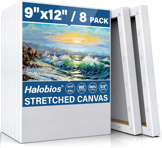 Halobios Stretched Canvases for Painting, 8 Packs 9X12 Inch Canvases for by Halobios