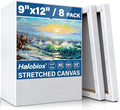 Halobios Stretched Canvases for Painting, 8 Packs 9X12 Inch Canvases for by Halobios