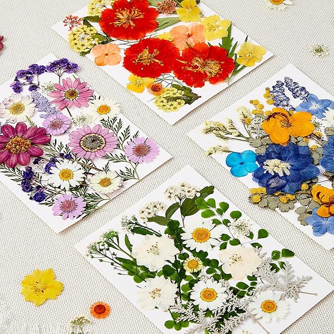 85Pcs Pressed Flowers for Crafts, Colorful Dried Flowers for Crafts Real - Image 2