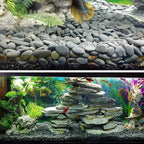 18 Pounds Natural River Rocks Mexican Beach Pebbles - Image 3