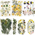 BIHRTC 100PCS Dried Flowers for Resin Real Dry Flower Natural Pressed Died by HOME