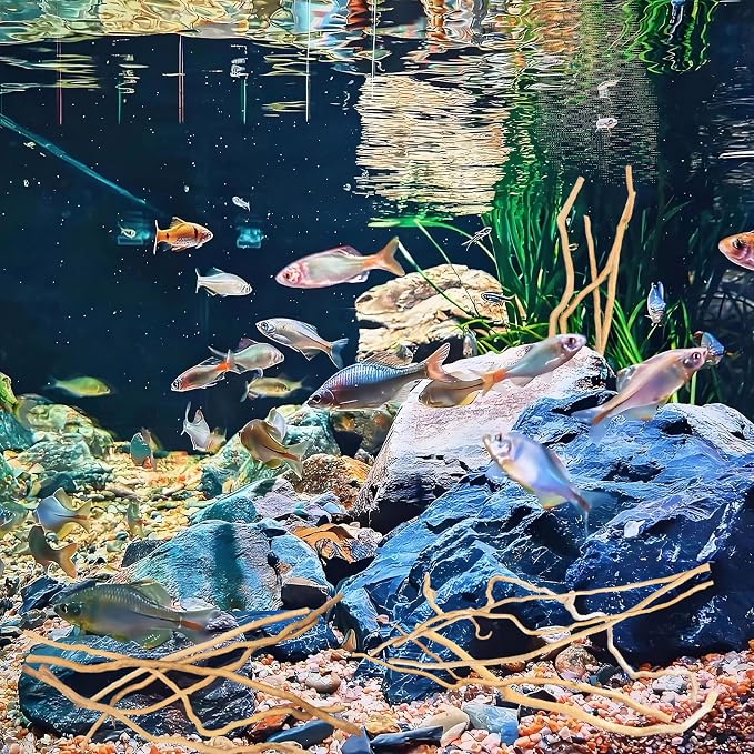 Hamiledyi Natural Driftwood for Aquarium Decor - Image 5