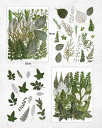 Resiners Dried Pressed Flowers for Resin Molds, Real Natural Dried Flowers Dry - Image 3