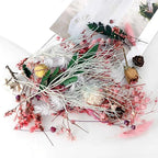 Dried Flower 2 Box DIY Natural Dried Flowers - Image 5