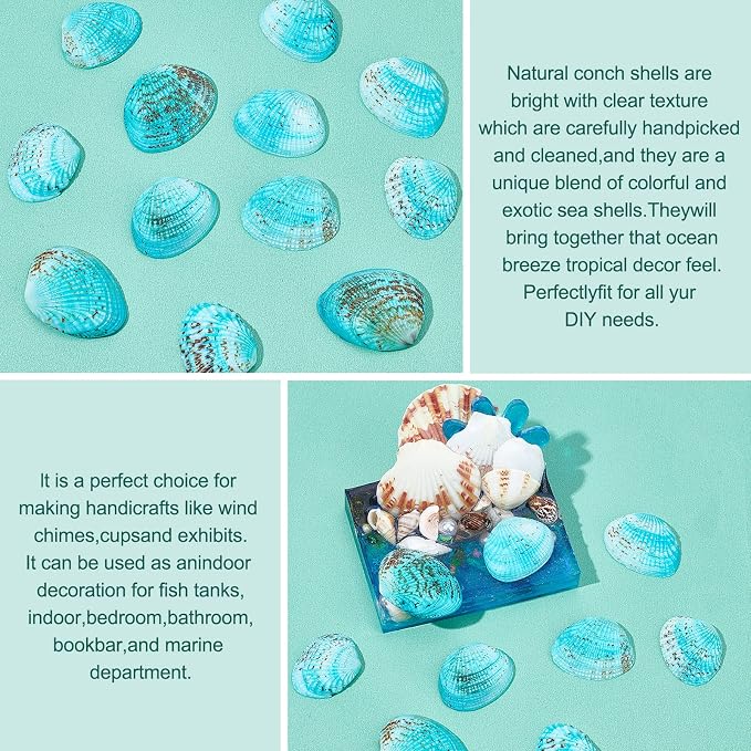 PH PandaHall 35pcs Blue Natural Seashell Bead, 32~37mm Undrilled Dyed Scallop - Image 6