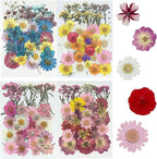 Woohome 160PCS Real Pressed Flowers, Dried Pressed Flowers Colorful Real by Woohome