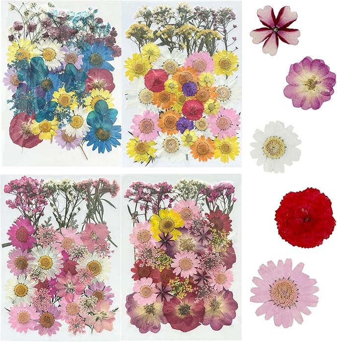 Woohome 160PCS Real Pressed Flowers, Dried Pressed Flowers Colorful Real by Woohome