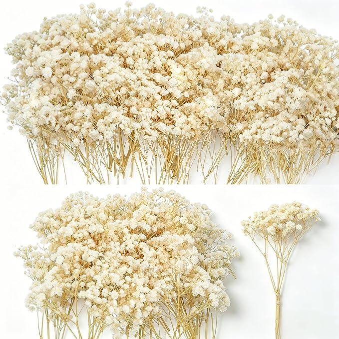 3000+ Mini Dried Baby's Breath Flowers, Wedding Wreath, Card Making, Home Decor by Glicrili