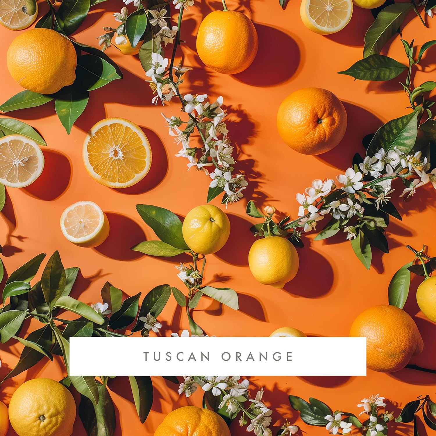 ScentAir Whisper Home Monthly Plug-in Refill, Fragrance Cartridge for Home and Office, Tuscan Orange