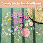 A4 Large Dried Pressed Flowers for Resin Purple Pressed Flowers Real Dry - Image 5