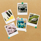 Cuttte 30pcs Decorative Flower Push Pins - Image 5