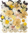 35pcs Dried Pressed Flowers for Resin Molds, YouthBro Real Natural Pressed by YouthBro