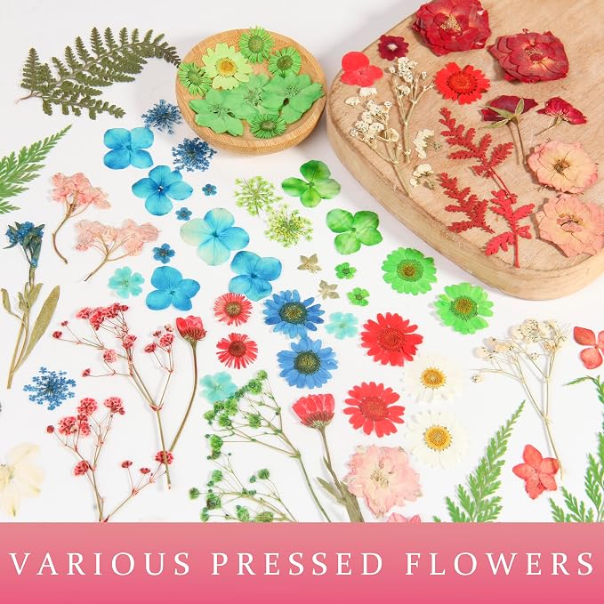 110+PCS Pressed Flowers for Resin, Colorful-B | Real Dried Flower Leaves - Image 6