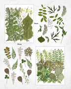 Resiners Dried Pressed Flowers for Resin Molds, Real Natural Dried Flowers Dry - Image 4