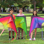 JOYIN 3 Packs Large Delta Kite Gradient Rainbow, Large Delta Beach Kite - Image 2