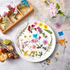 Nuanchu Pressed Flowers Bulk Dried Flower - Image 2